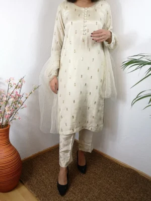 Women Traditional Pakistani Clothes Eid Collection 2023