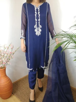 Women Traditional Pakistani Clothes Eid Collection 2023